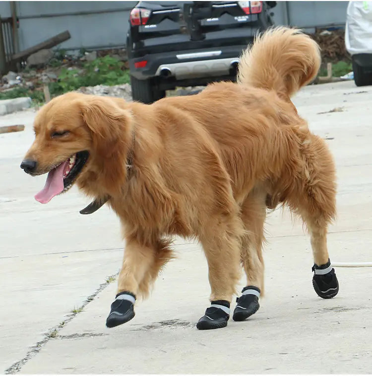 Wear-Resistant and Breathable Shoes for Big Dogs