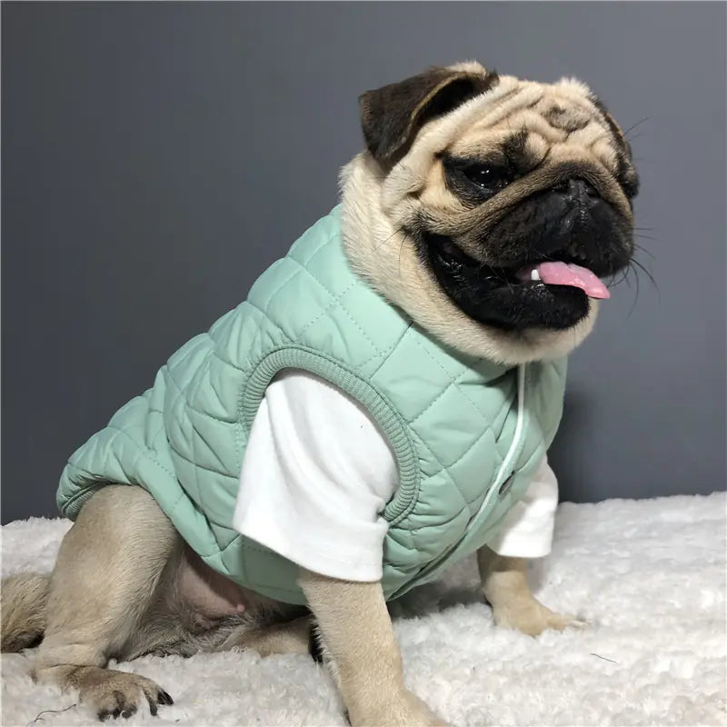 Finance Bro Gilet for Dogs