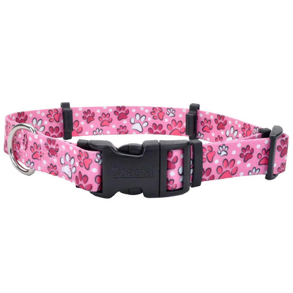 Coastal Pet SecureAway Collar Protector for Flea Collars - Dog Collar Accessory - Protective Collar for Flea Collar for Dogs - Adjustable Dog & Puppy Collar Protection - Multi Paws 1" x 18-26"