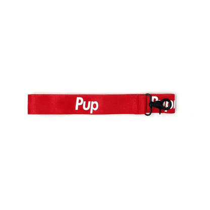 Cute Red Collar for Small and Medium Dogs