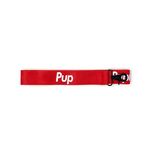 Cute Red Collar for Small and Medium Dogs