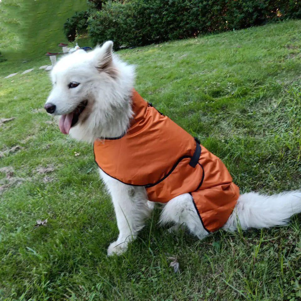 Pet Outdoor Jacket for Autumn/Winter Sports Activities