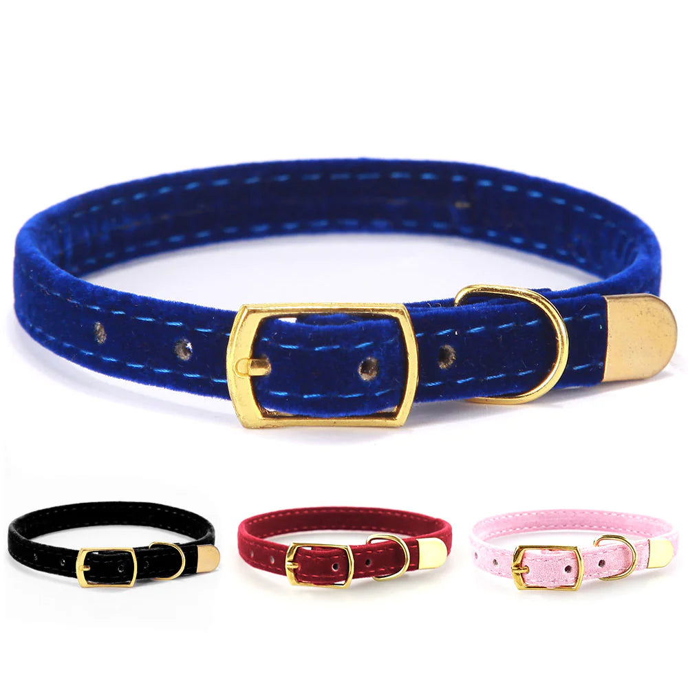 Chic Safety Cat Collar