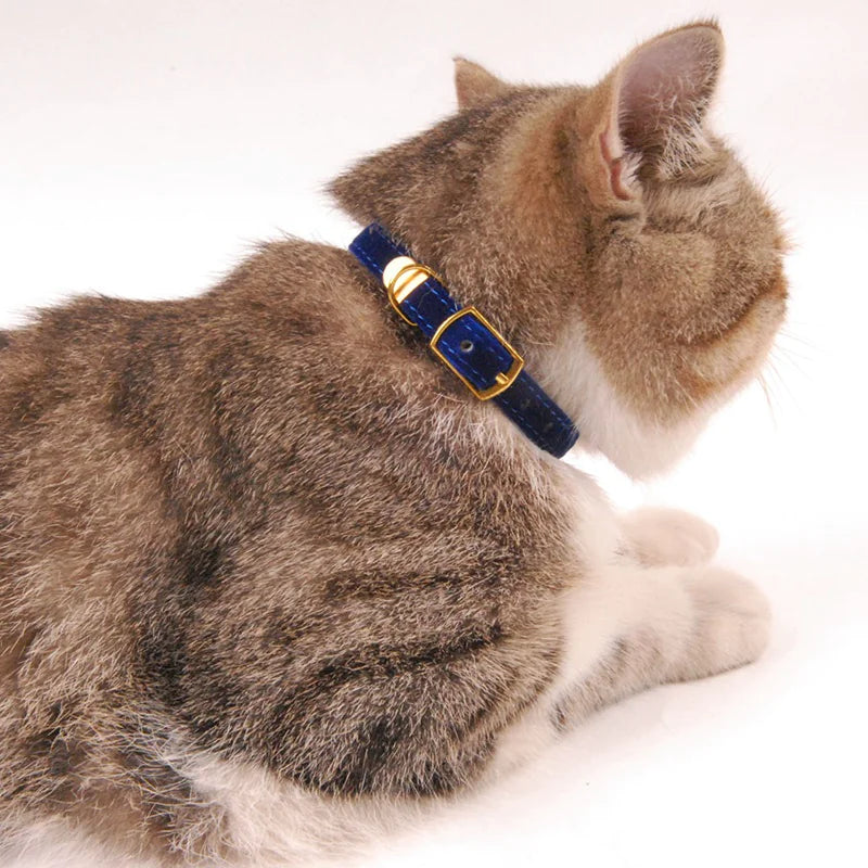 Chic Safety Cat Collar